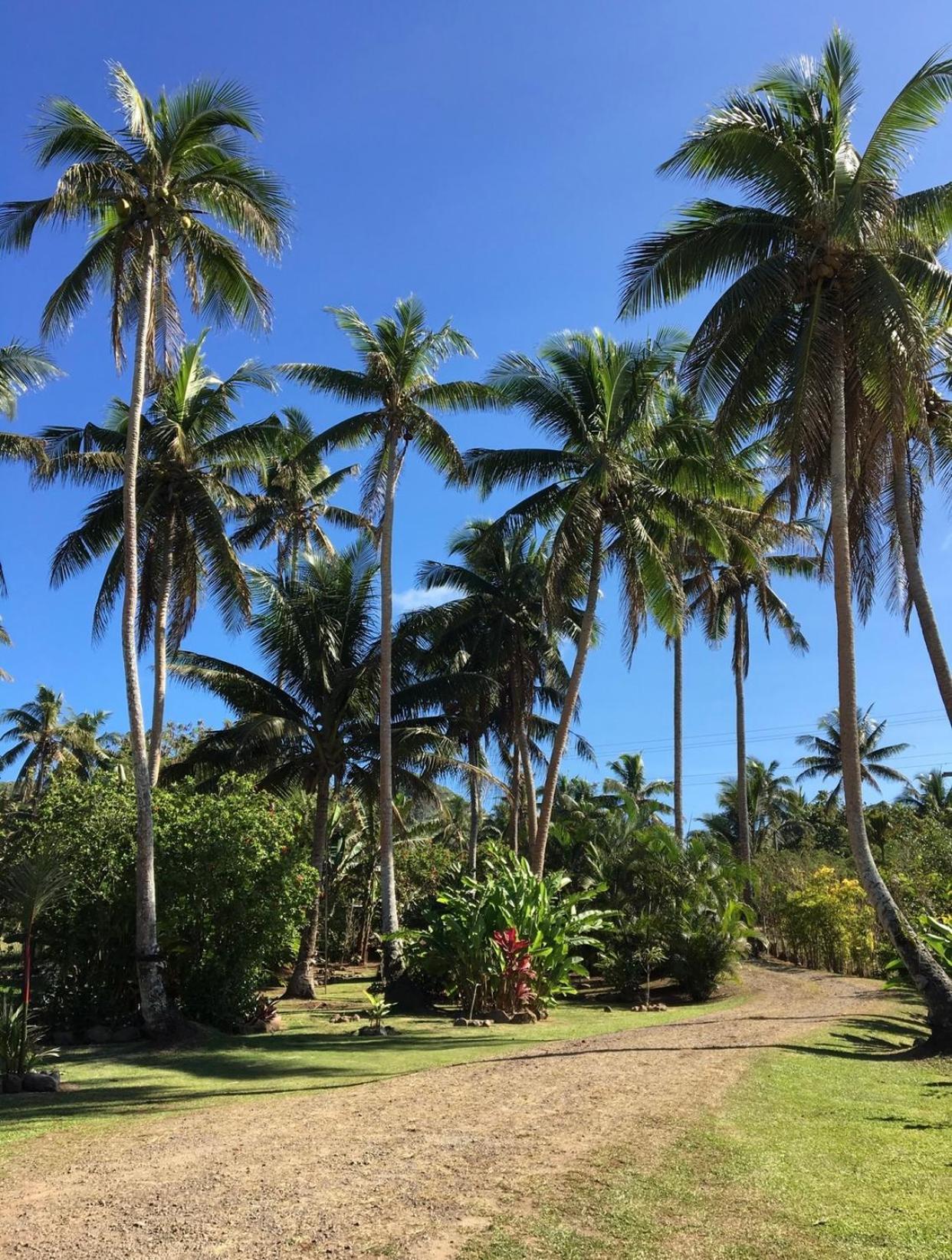 Вілла Island Breeze Fiji Савусаву Номер фото